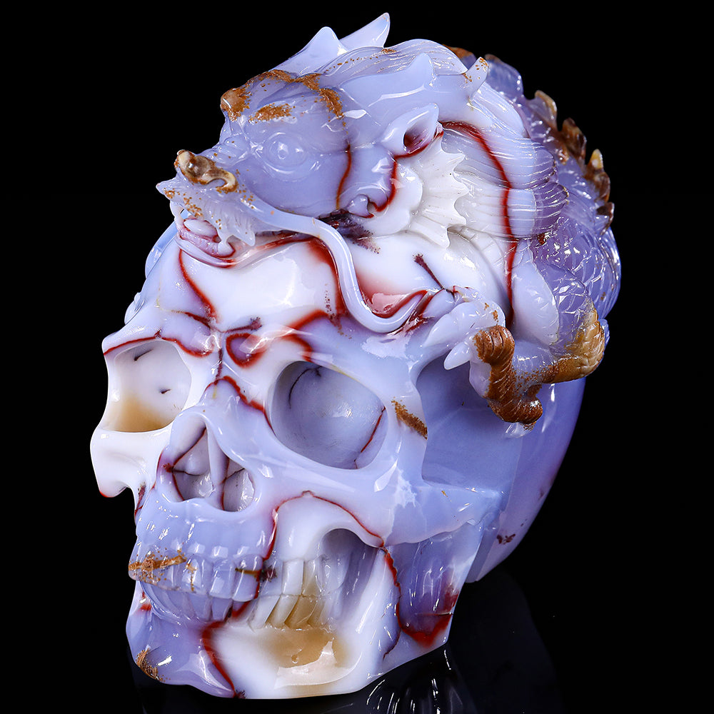 6.5" Blue Chalcedony Dragon with Skull Carving - Unique Piece #3100268