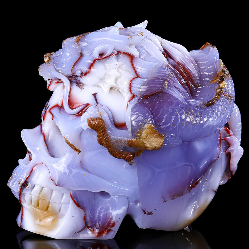 6.5" Blue Chalcedony Dragon with Skull Carving - Unique Piece #3100268