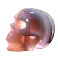 3.4" Geode Agate Human Skull Carving - Unique Piece #3100296