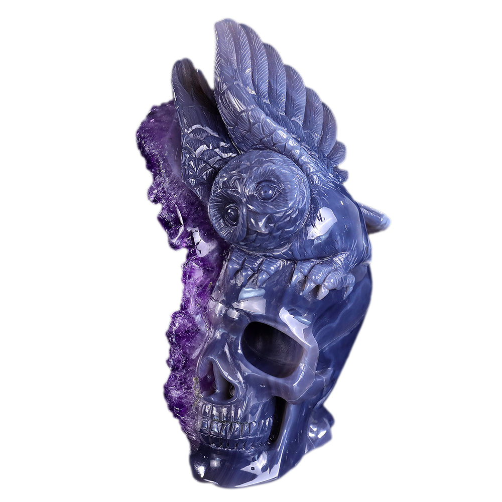 3.7" Amethyst Cluster Skull with Owl Carving - Unique Piece #3100312