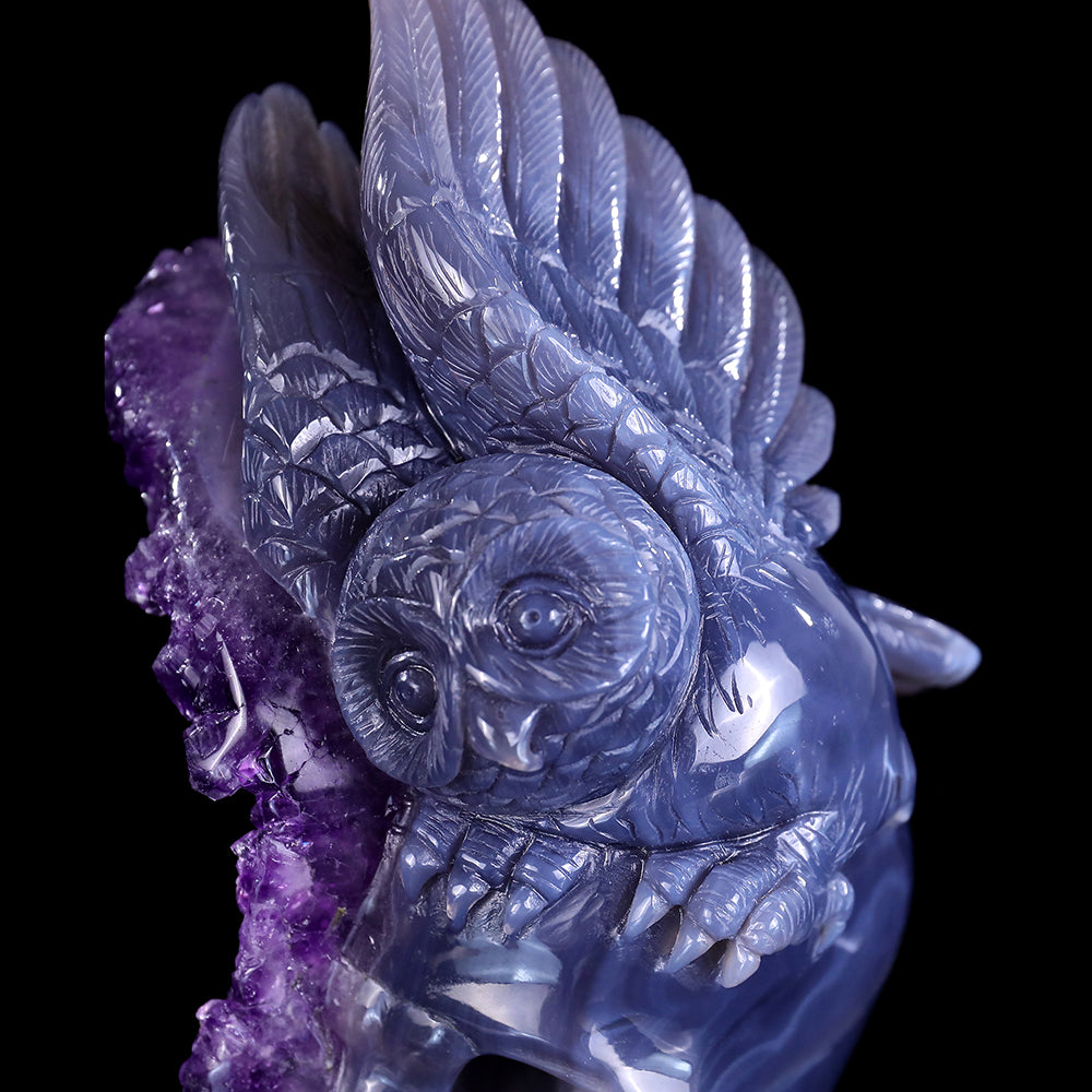 3.7" Amethyst Cluster Skull with Owl Carving - Unique Piece #3100312