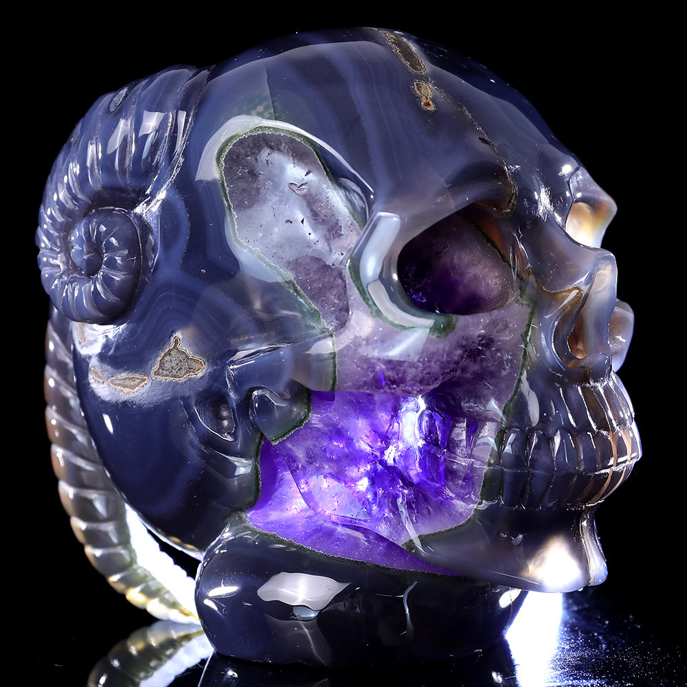 6.3" Amethyst Cluster Ram Horn Skull Carving - Unique Piece #3100314