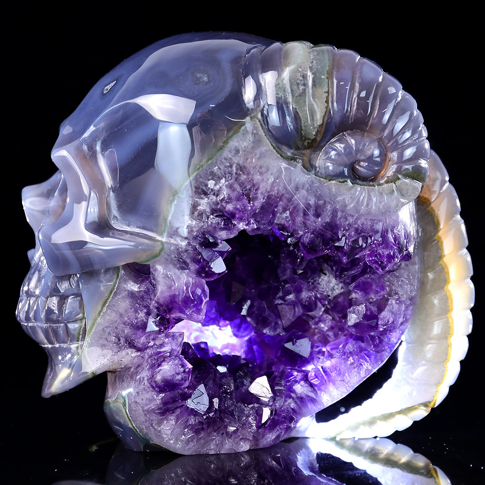 6.3" Amethyst Cluster Ram Horn Skull Carving - Unique Piece #3100314