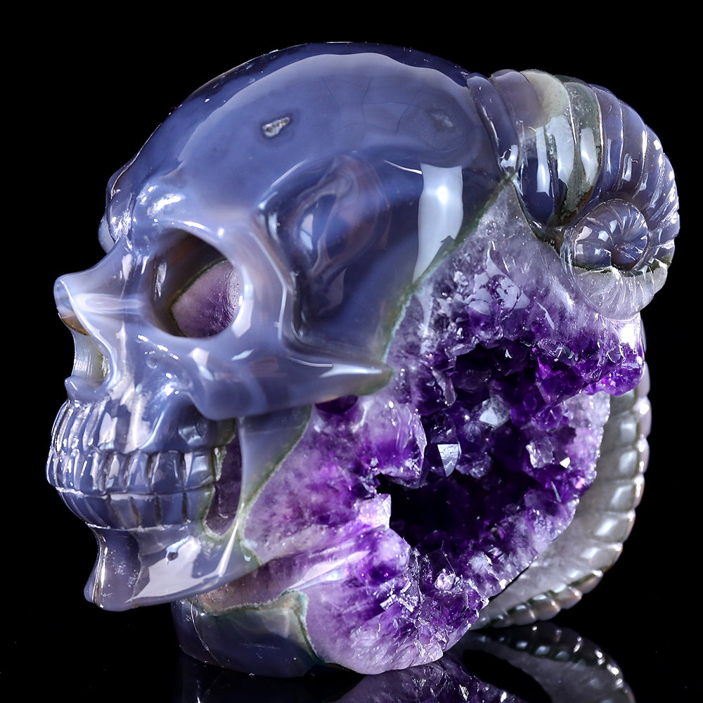 6.3" Amethyst Cluster Ram Horn Skull Carving - Unique Piece #3100314
