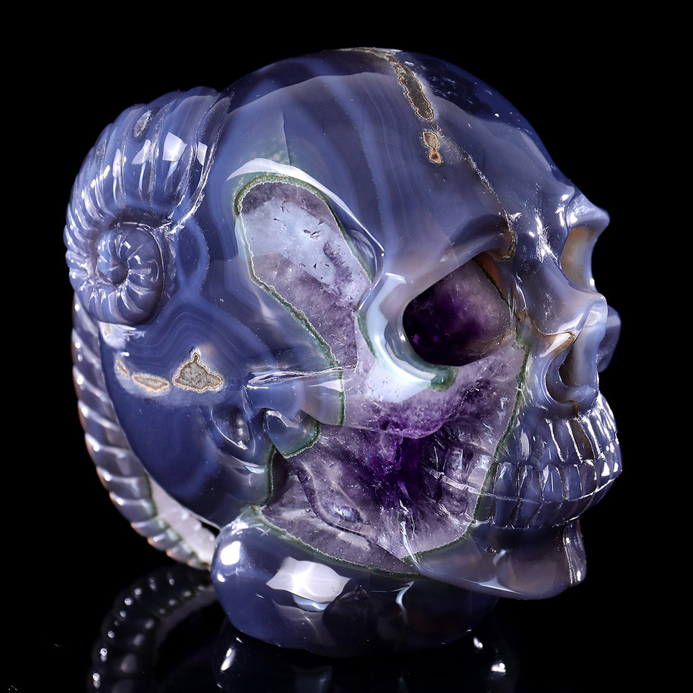 6.3" Amethyst Cluster Ram Horn Skull Carving - Unique Piece #3100314