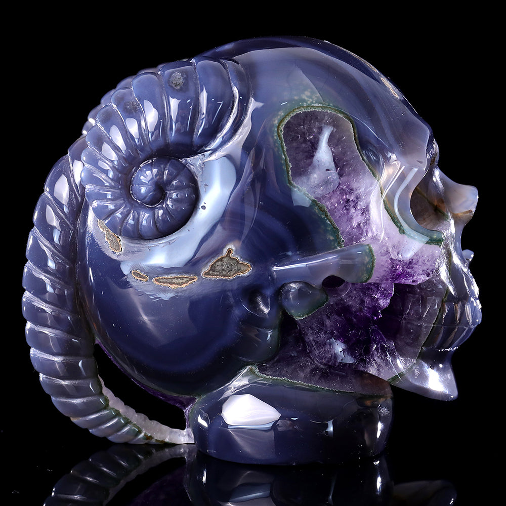 6.3" Amethyst Cluster Ram Horn Skull Carving - Unique Piece #3100314