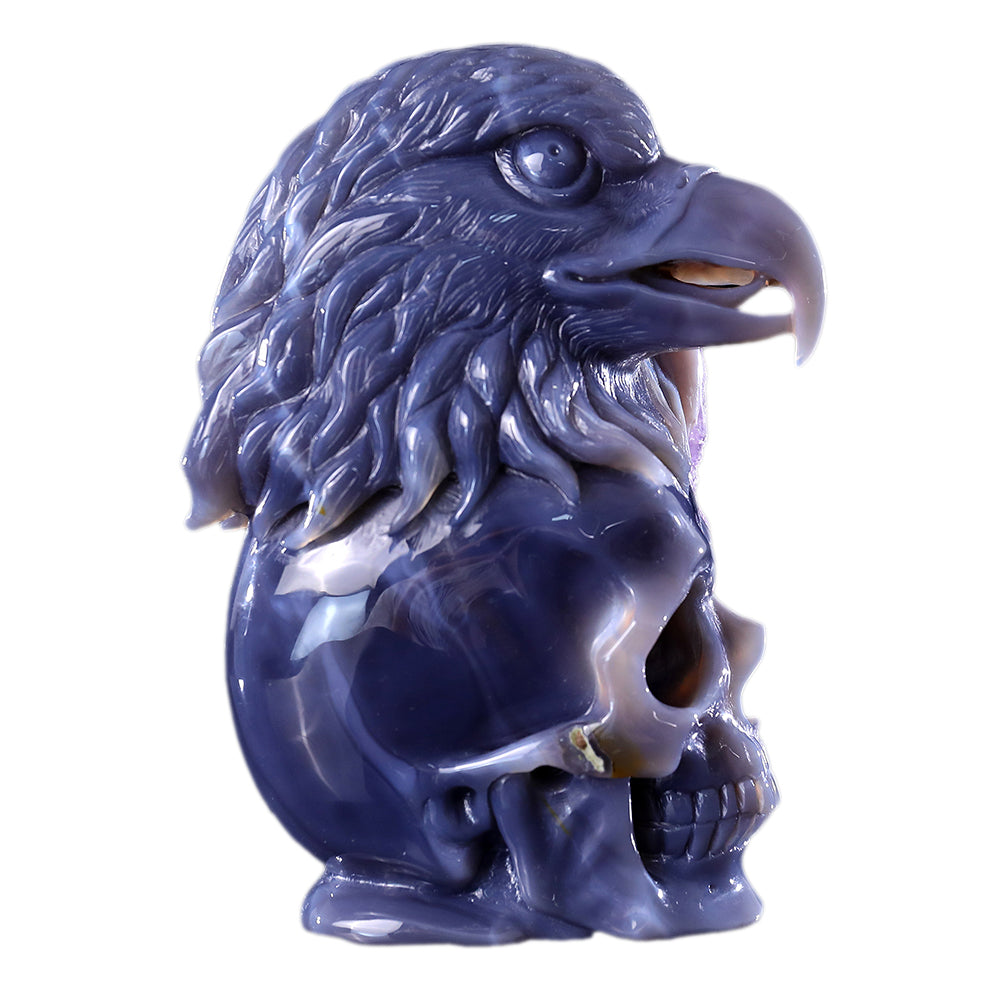 4.8" Amethyst Cluster Skull with Eagle Head Carving - Unique Piece #3100315