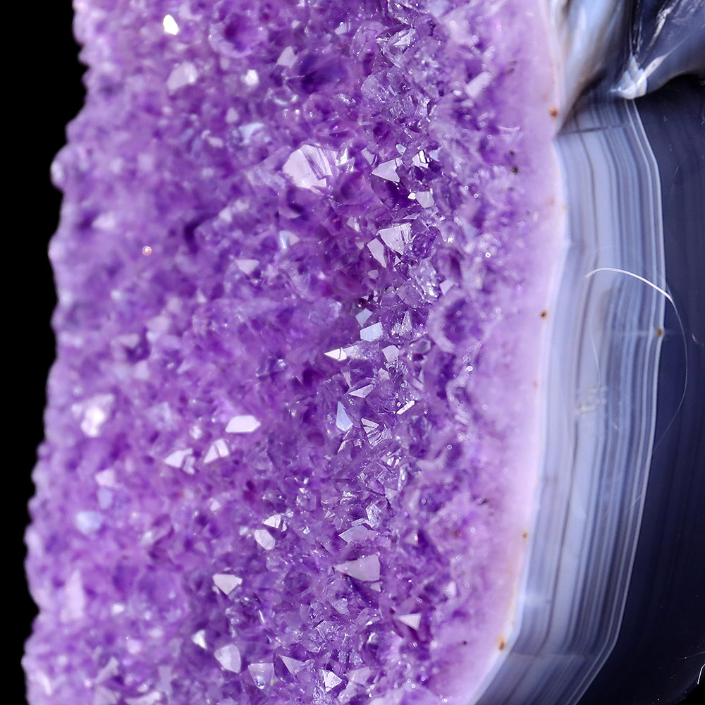 4.8" Amethyst Cluster Skull with Eagle Head Carving - Unique Piece #3100315