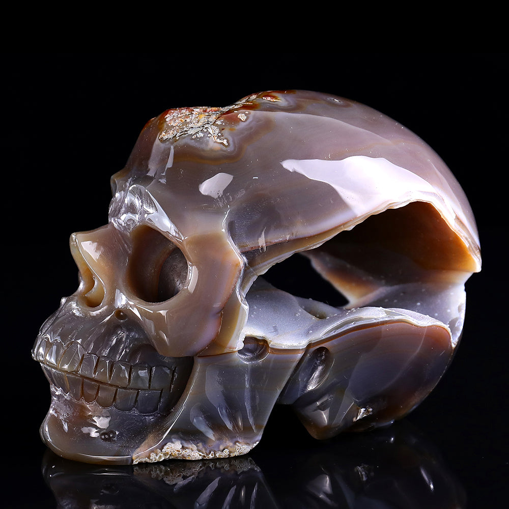 6.1" Carnelian Human Skull Carving - Unique Piece #3100332
