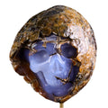 3.0" Blue Chalcedony Human Skull with Rough Skin Carving - Unique Piece #3100336