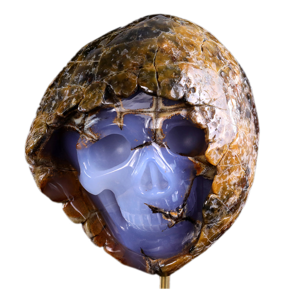 3.0" Blue Chalcedony Human Skull with Rough Skin Carving - Unique Piece #3100336