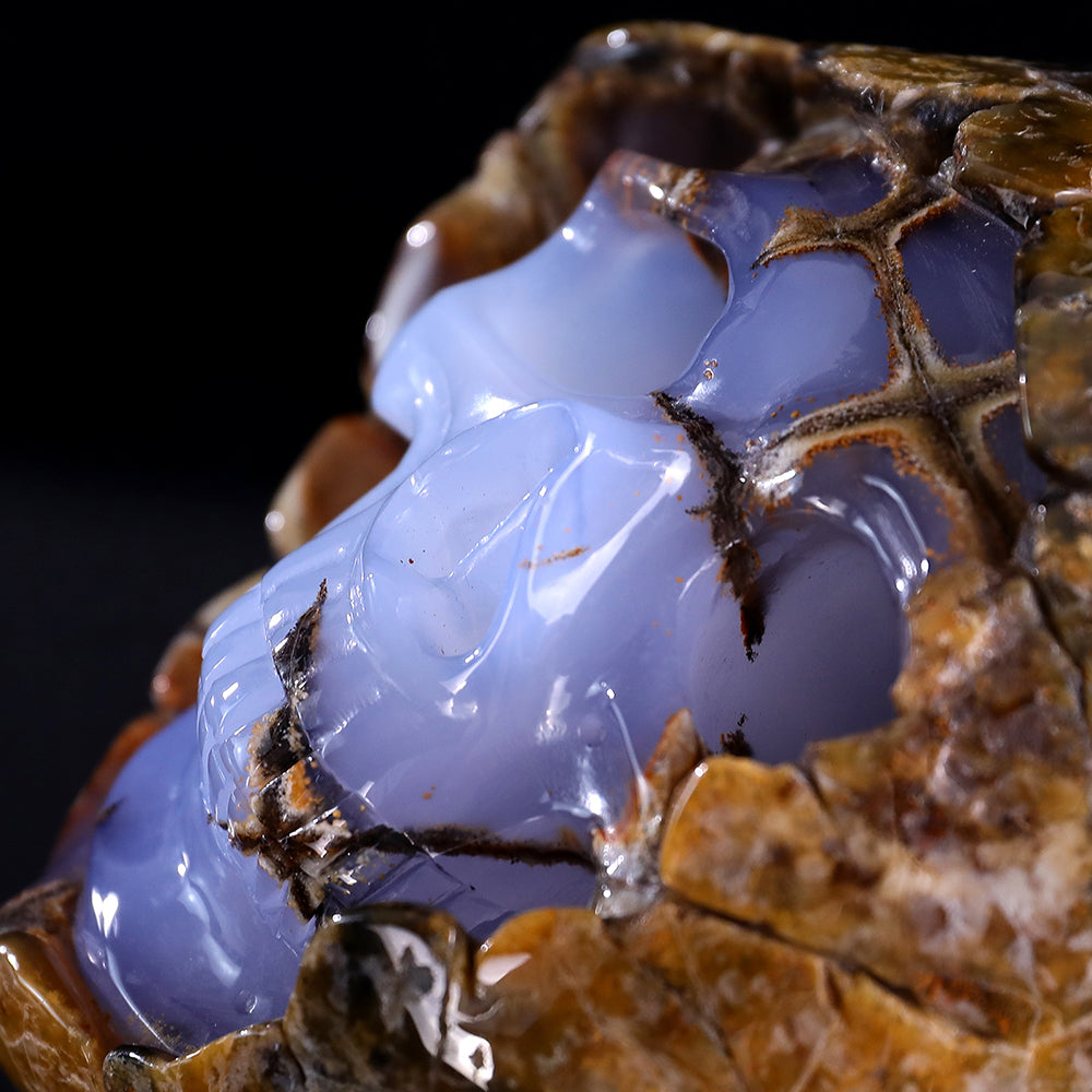 3.0" Blue Chalcedony Human Skull with Rough Skin Carving - Unique Piece #3100336