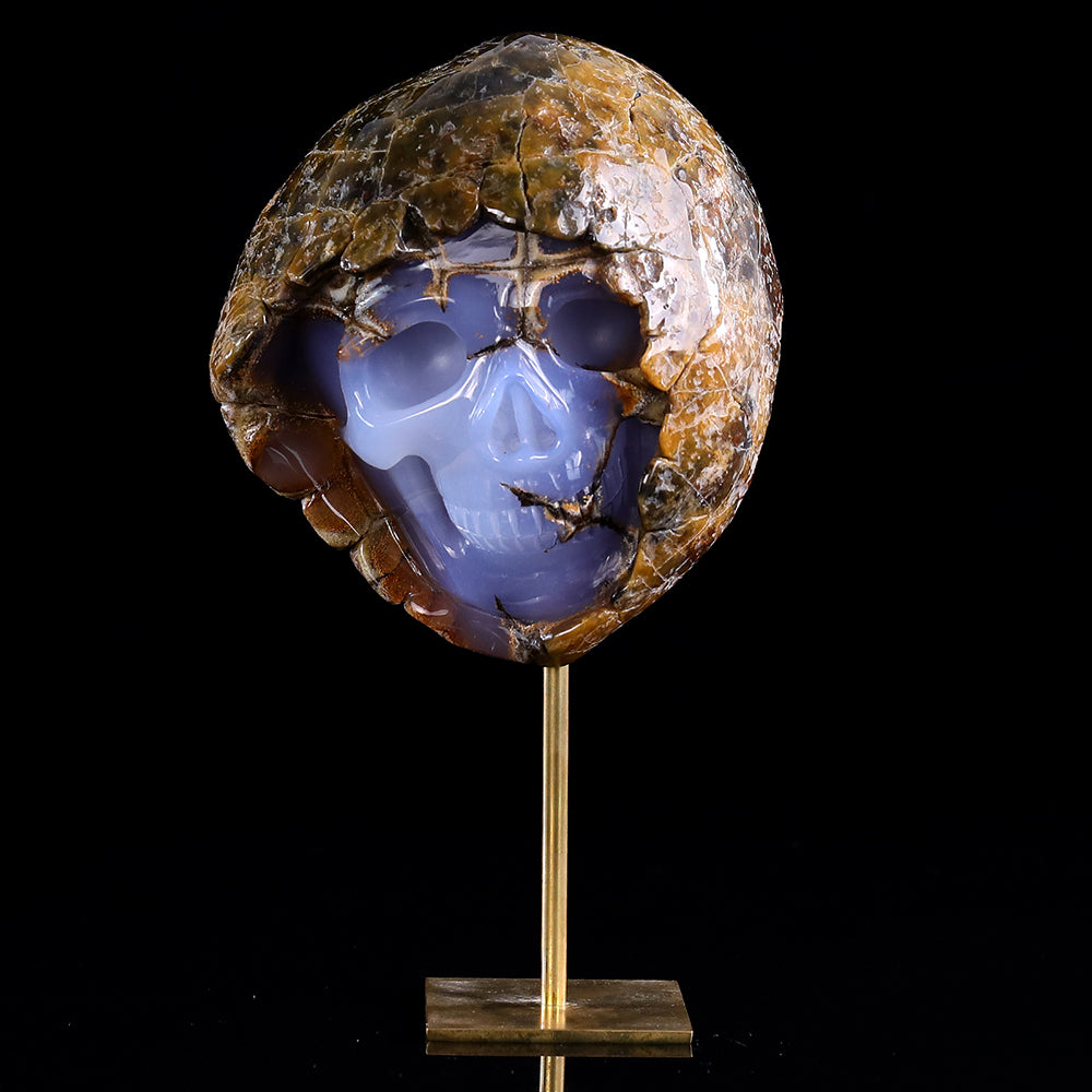 3.0" Blue Chalcedony Human Skull with Rough Skin Carving - Unique Piece #3100336