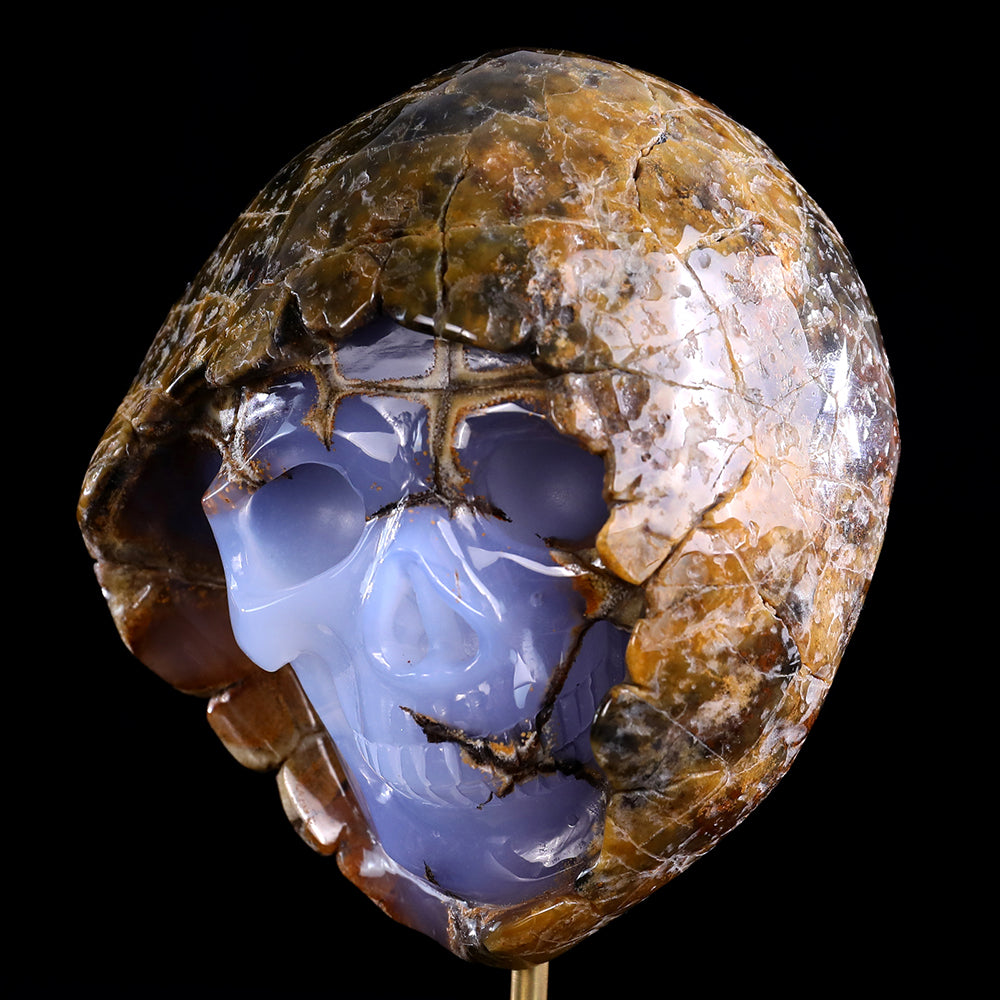 3.0" Blue Chalcedony Human Skull with Rough Skin Carving - Unique Piece #3100336