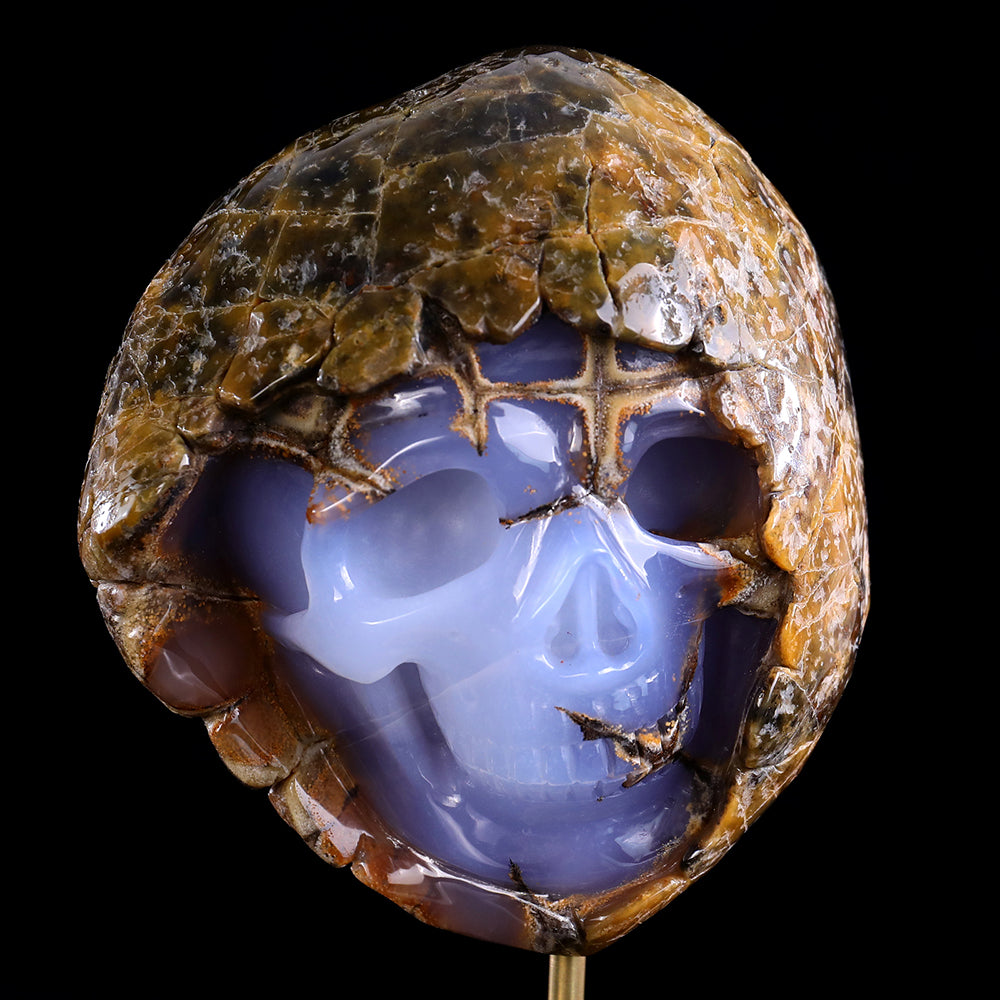 3.0" Blue Chalcedony Human Skull with Rough Skin Carving - Unique Piece #3100336