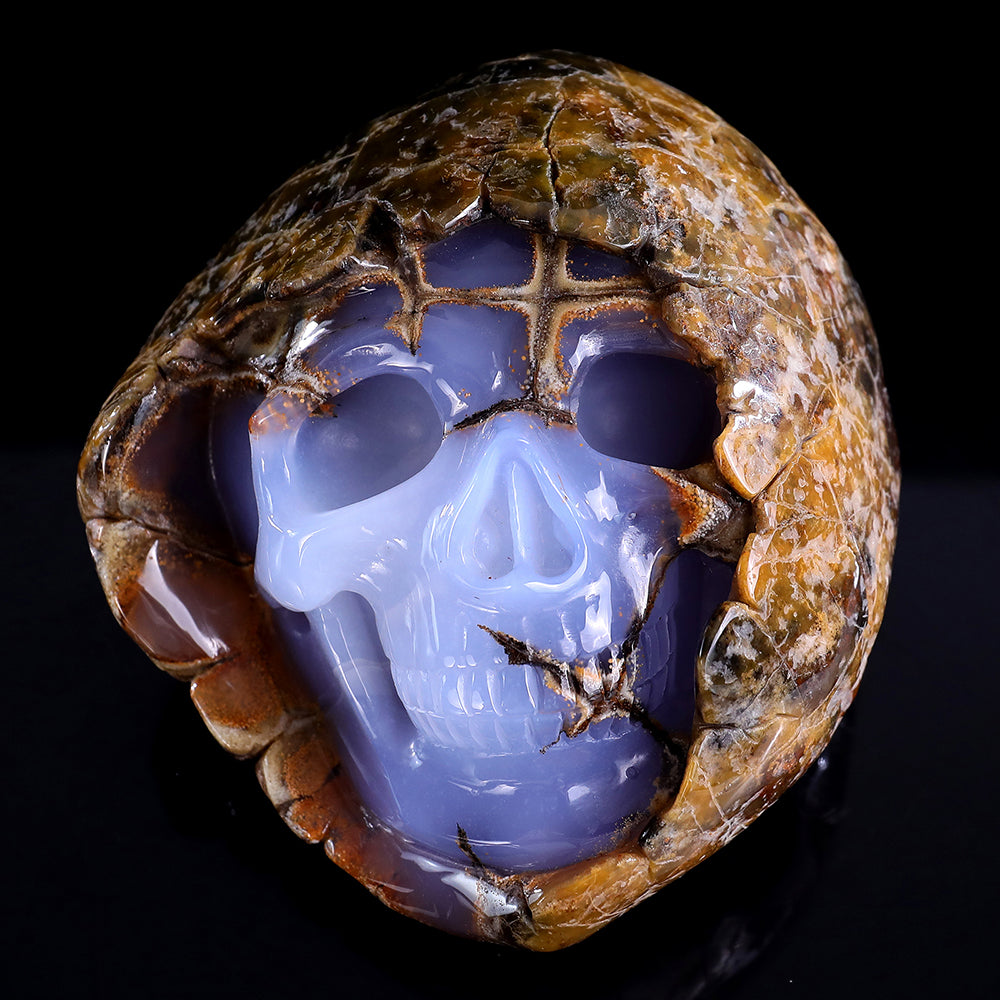 3.0" Blue Chalcedony Human Skull with Rough Skin Carving - Unique Piece #3100336