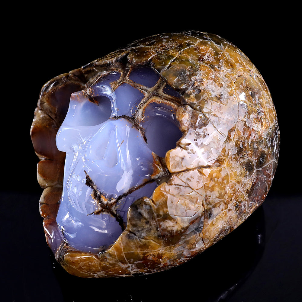 3.0" Blue Chalcedony Human Skull with Rough Skin Carving - Unique Piece #3100336