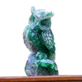 4.1" Fluorite Owl Carving - Unique Piece #3100339