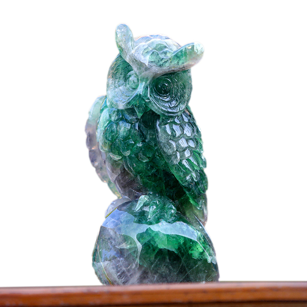 4.1" Fluorite Owl Carving - Unique Piece #3100339