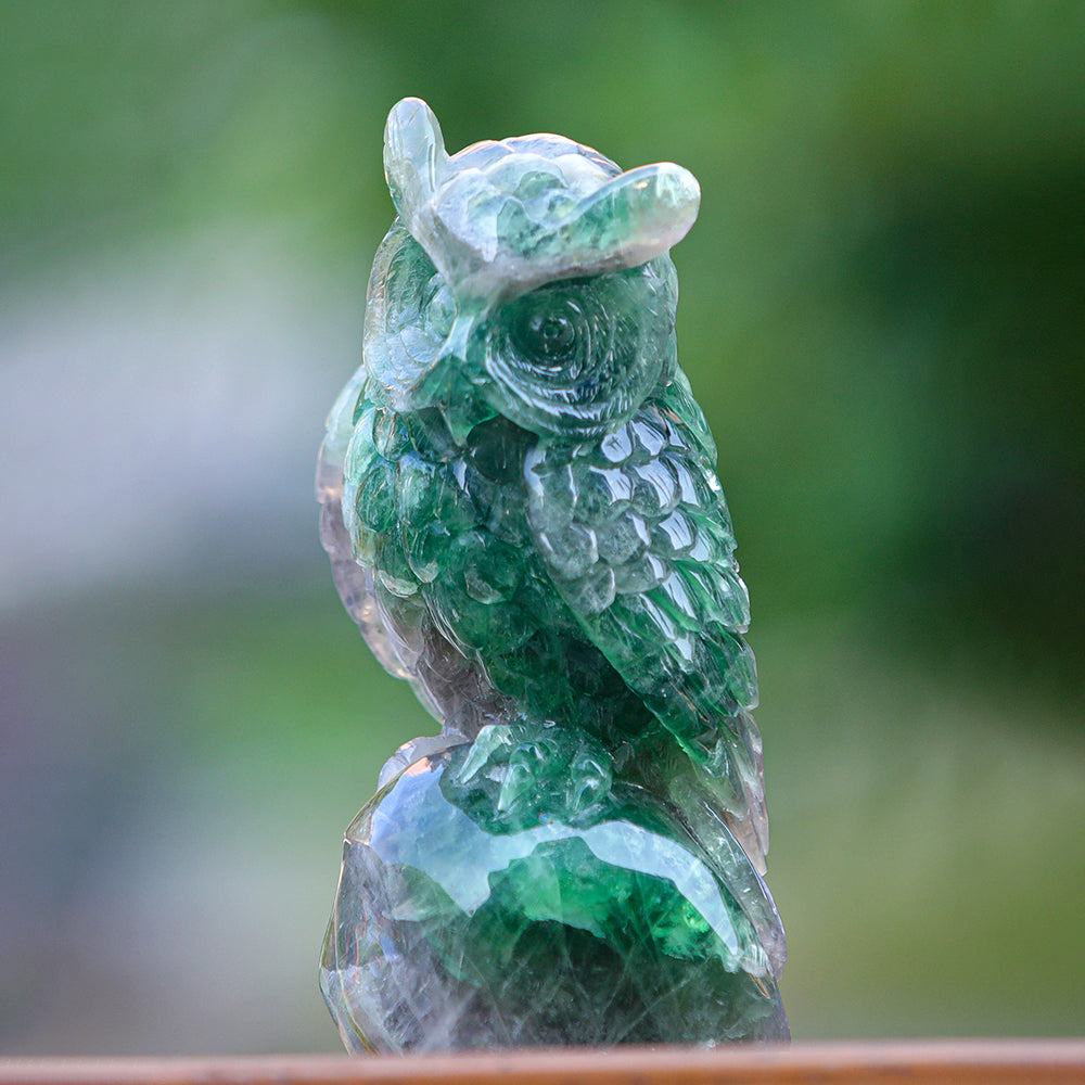 4.1" Fluorite Owl Carving - Unique Piece #3100339