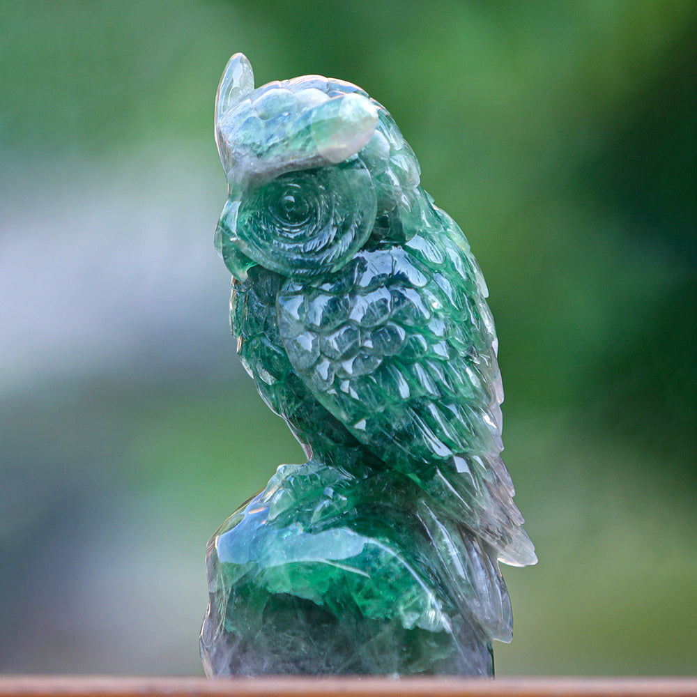 4.1" Fluorite Owl Carving - Unique Piece #3100339