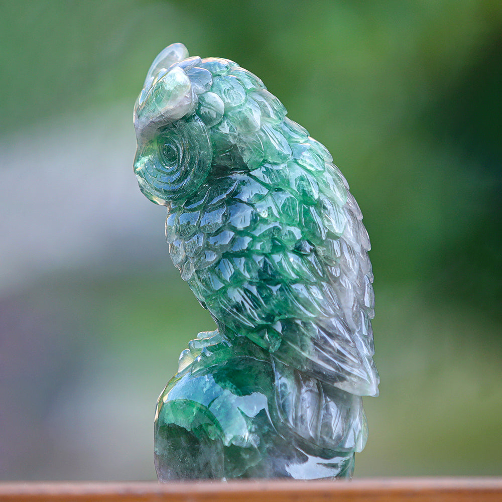 4.1" Fluorite Owl Carving - Unique Piece #3100339