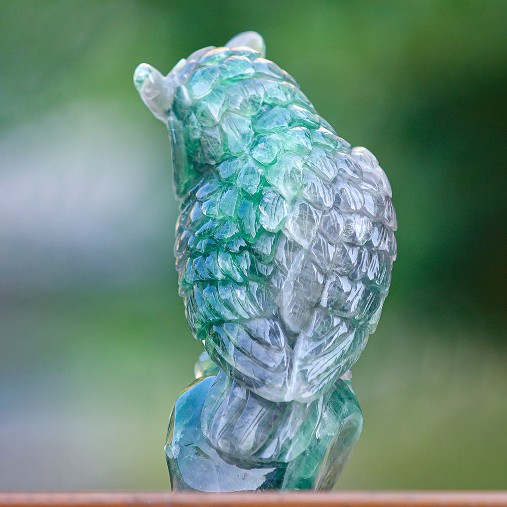 4.1" Fluorite Owl Carving - Unique Piece #3100339