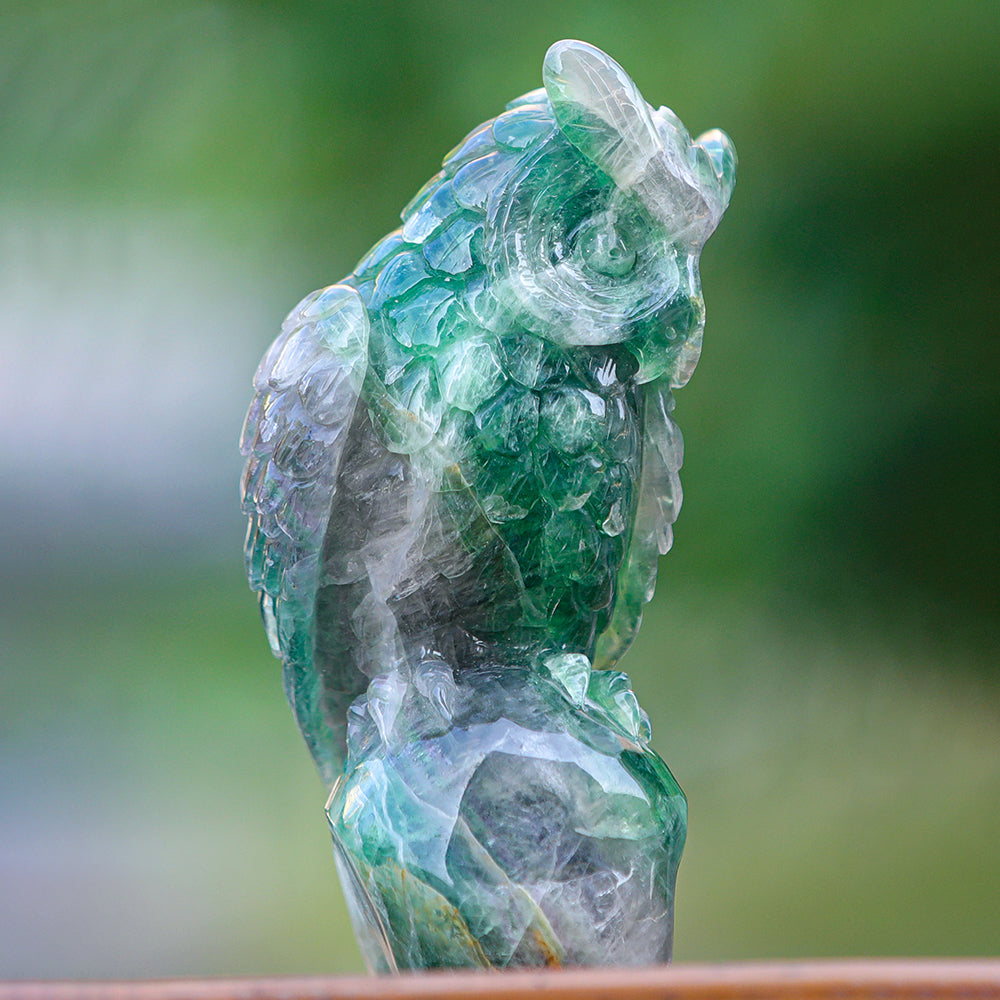 4.1" Fluorite Owl Carving - Unique Piece #3100339