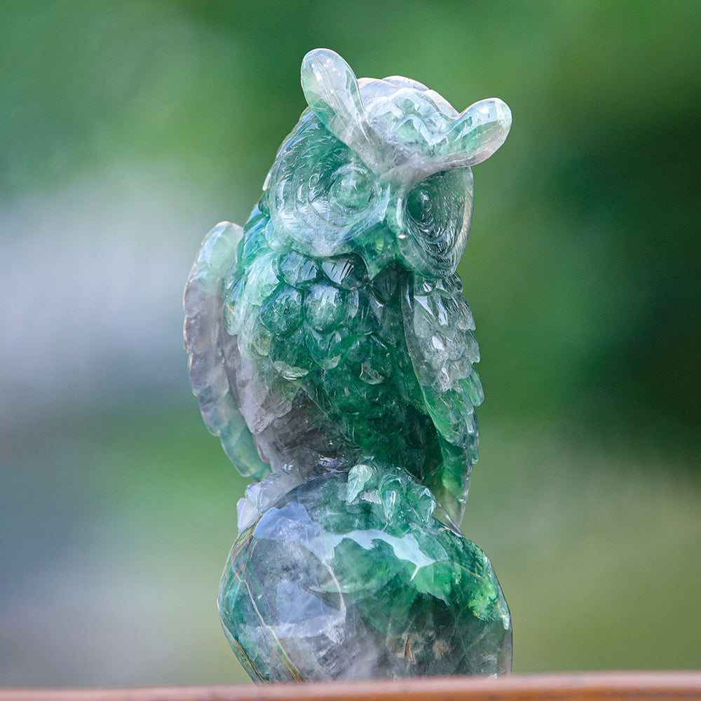 4.1" Fluorite Owl Carving - Unique Piece #3100339