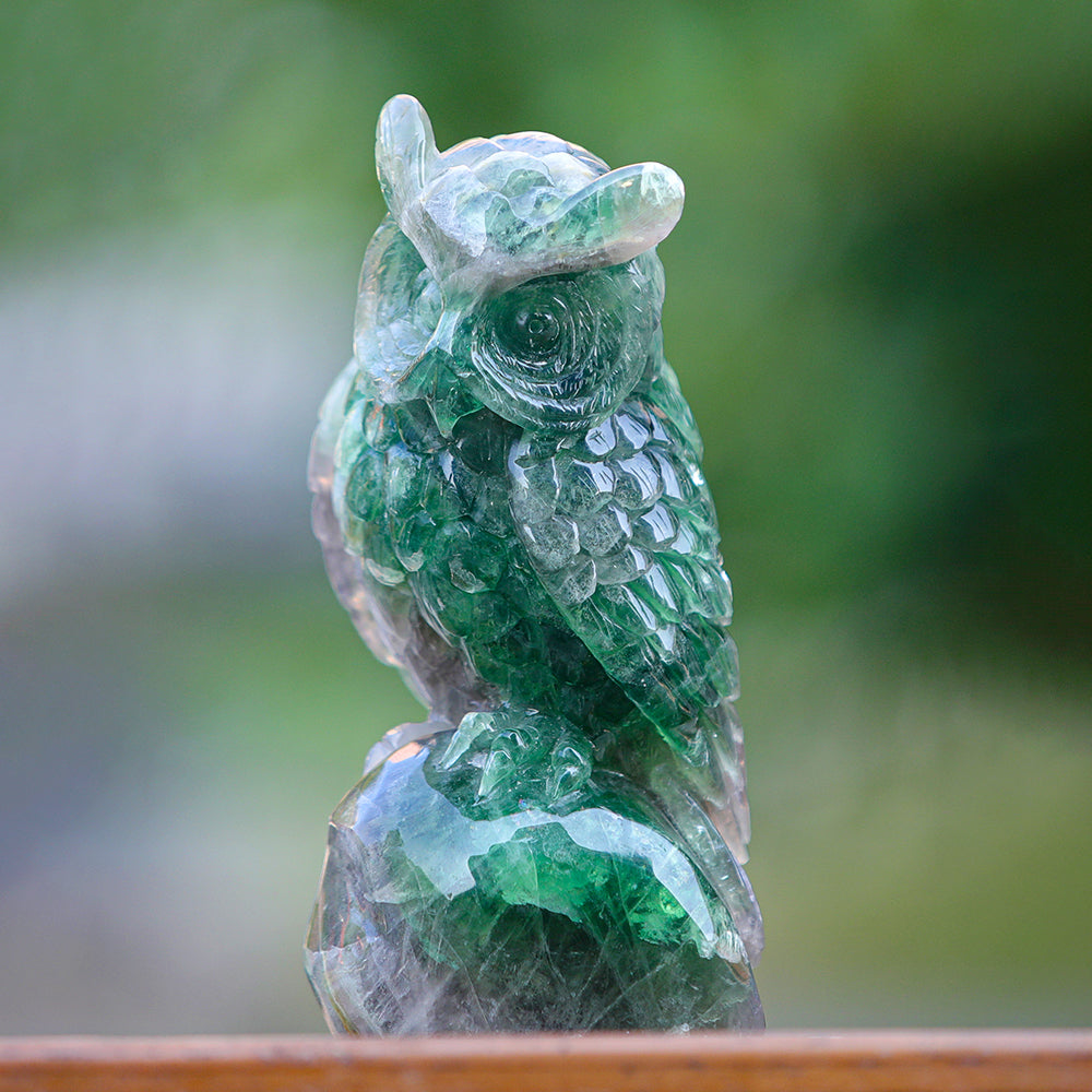 4.1" Fluorite Owl Carving - Unique Piece #3100339