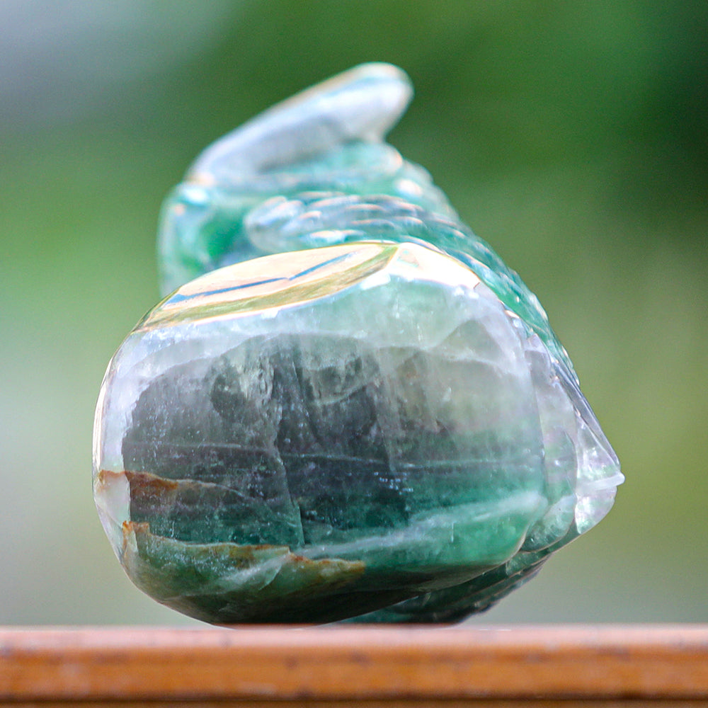 4.1" Fluorite Owl Carving - Unique Piece #3100339