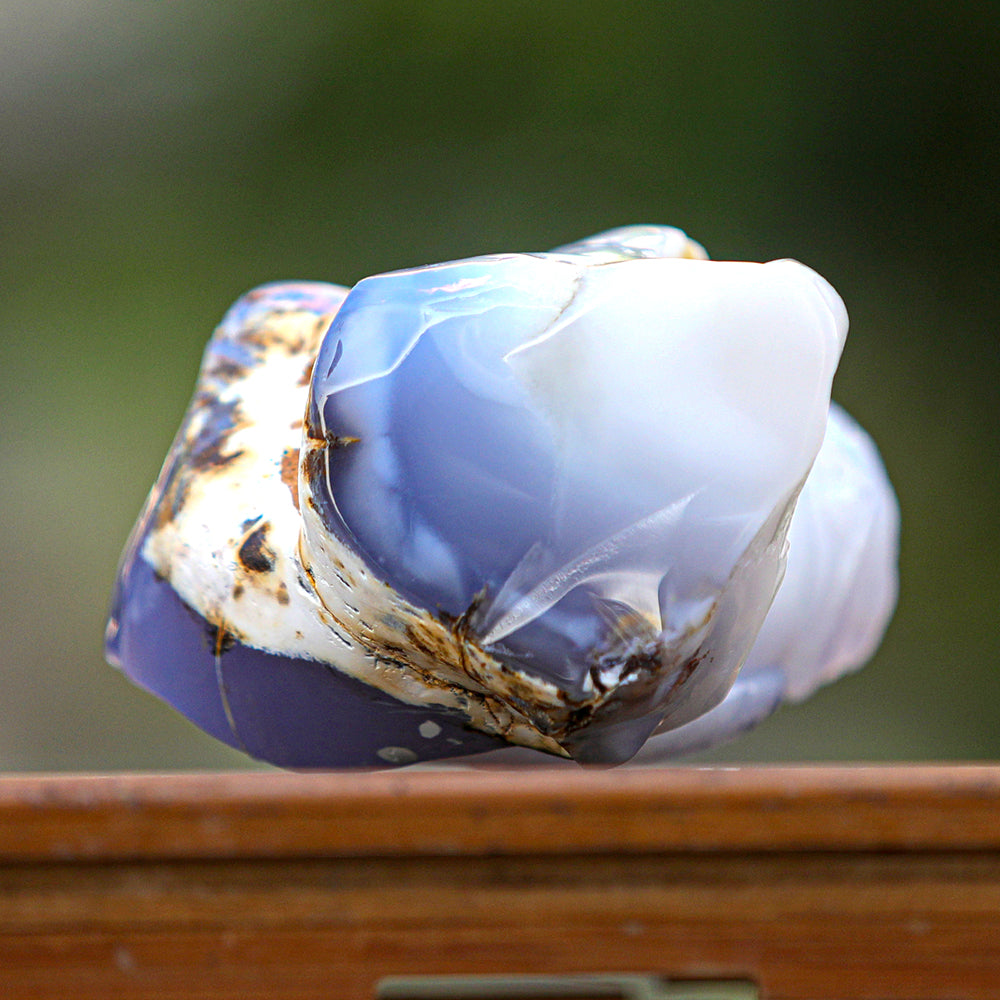 5.4" Blue Chalcedony Geode Owl Carving - Unique Piece #3100340