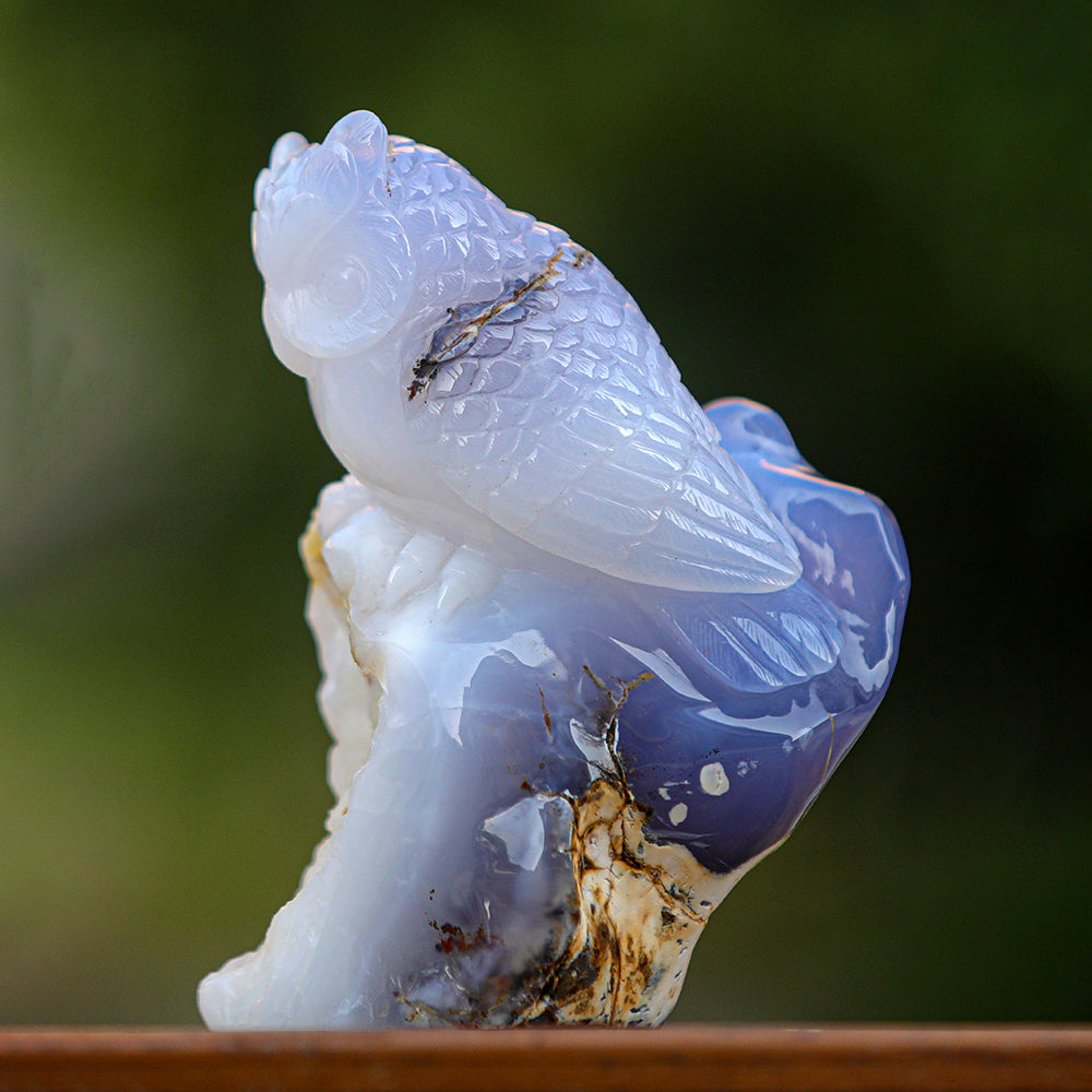 5.4" Blue Chalcedony Geode Owl Carving - Unique Piece #3100340