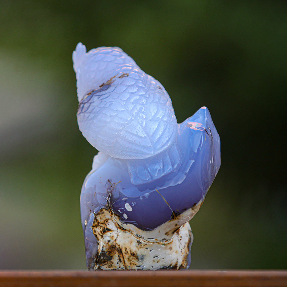 5.4" Blue Chalcedony Geode Owl Carving - Unique Piece #3100340