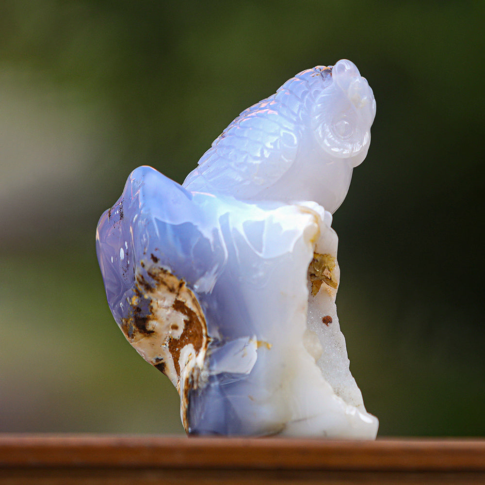 5.4" Blue Chalcedony Geode Owl Carving - Unique Piece #3100340