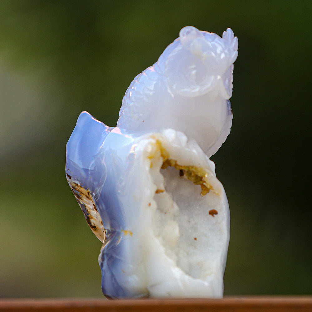 5.4" Blue Chalcedony Geode Owl Carving - Unique Piece #3100340