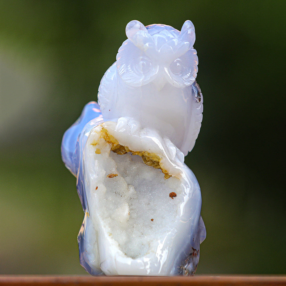 5.4" Blue Chalcedony Geode Owl Carving - Unique Piece #3100340