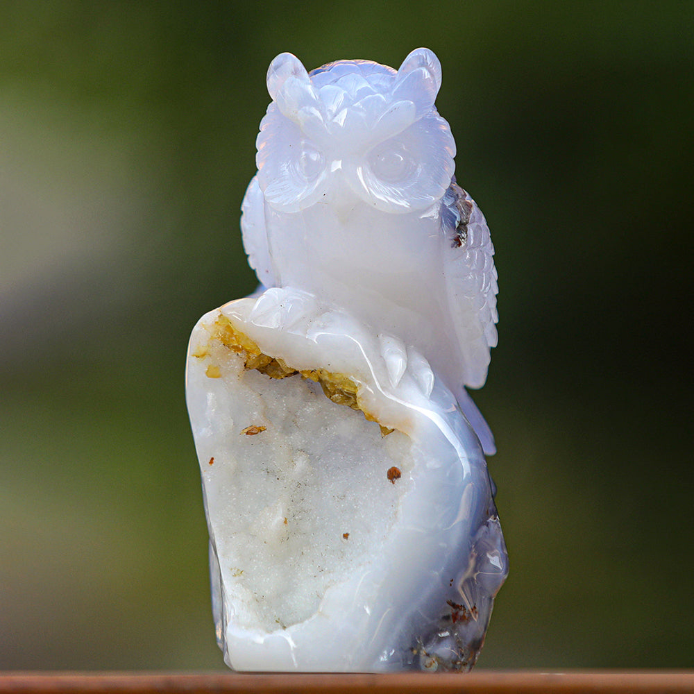 5.4" Blue Chalcedony Geode Owl Carving - Unique Piece #3100340
