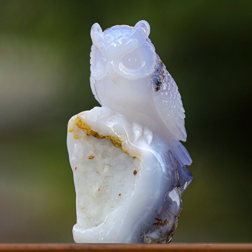 5.4" Blue Chalcedony Geode Owl Carving - Unique Piece #3100340