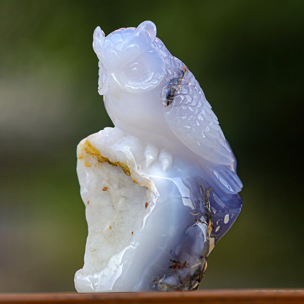 5.4" Blue Chalcedony Geode Owl Carving - Unique Piece #3100340