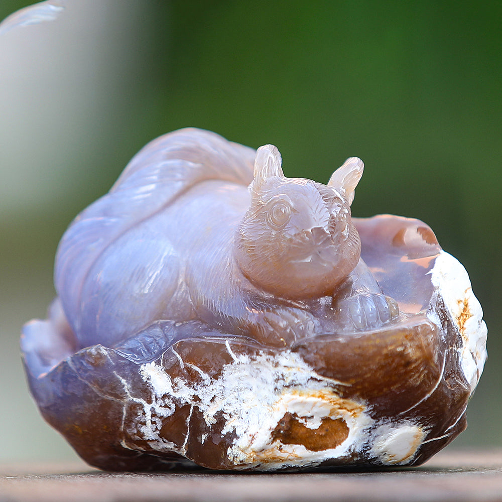 4.7" Yellow Chalcedony Squirrel in Cave Carving - Unique Piece #3100343