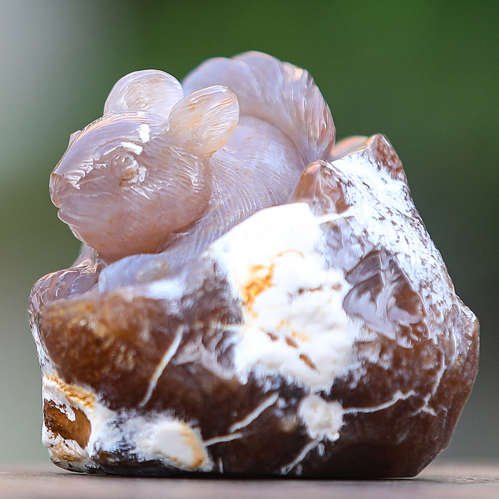 4.7" Yellow Chalcedony Squirrel in Cave Carving - Unique Piece #3100343