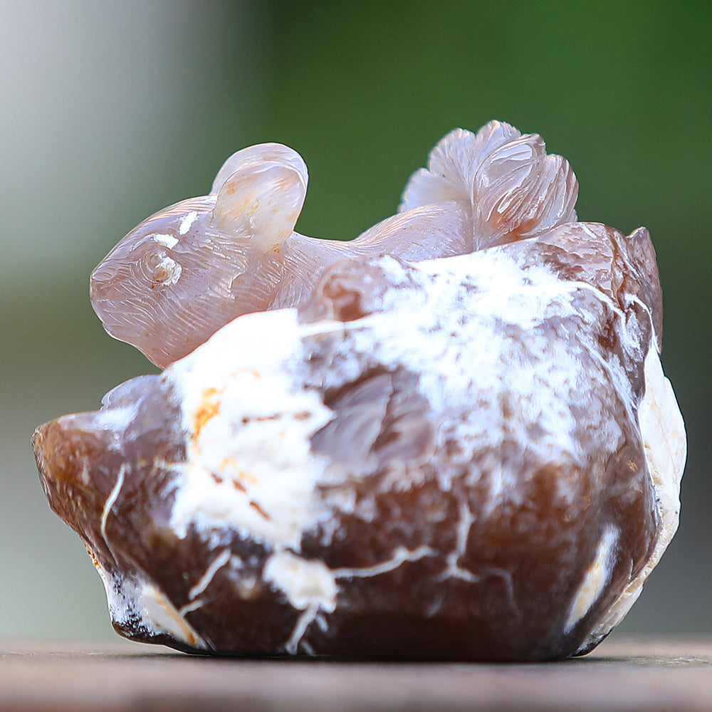 4.7" Yellow Chalcedony Squirrel in Cave Carving - Unique Piece #3100343
