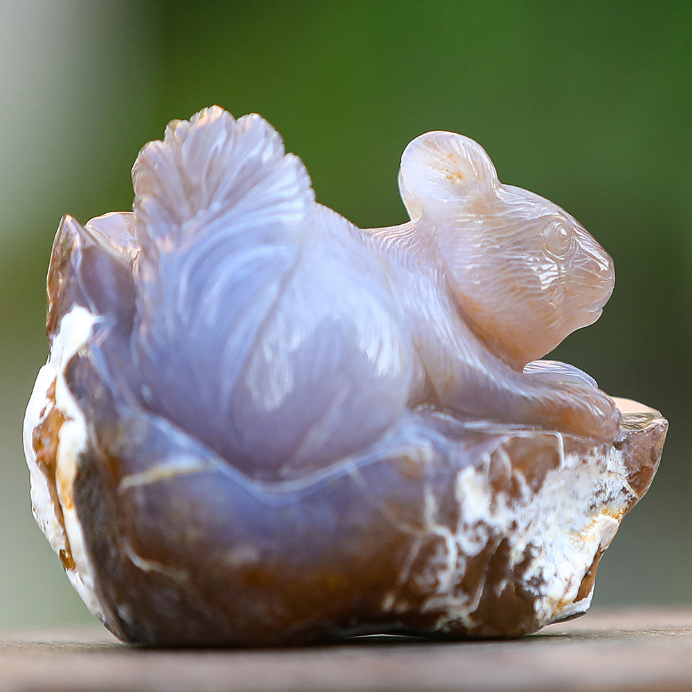 4.7" Yellow Chalcedony Squirrel in Cave Carving - Unique Piece #3100343
