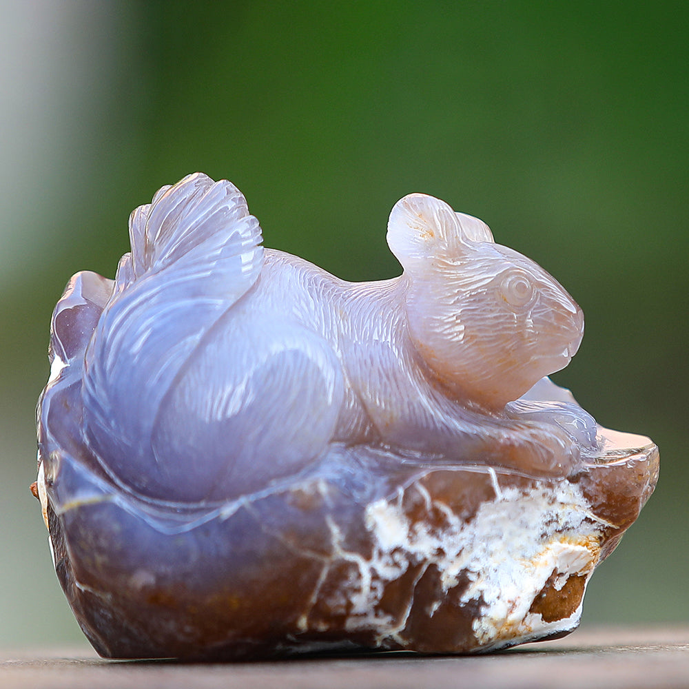 4.7" Yellow Chalcedony Squirrel in Cave Carving - Unique Piece #3100343