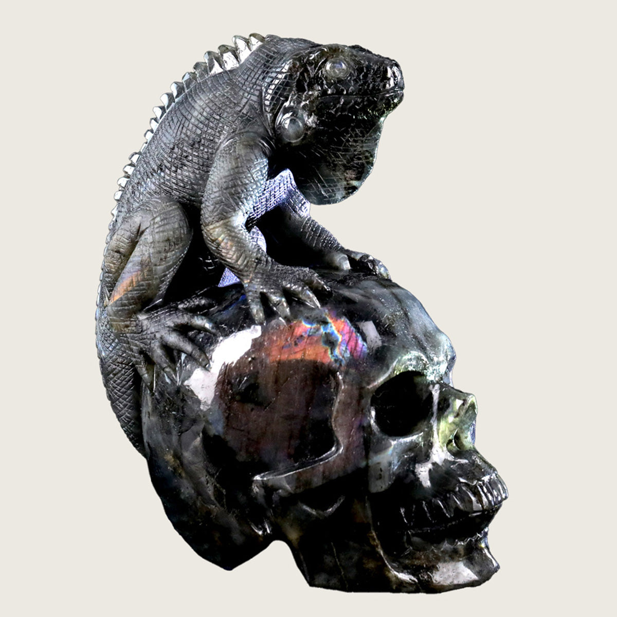 5.0" Labradorite Skull & Lizard Carving  #SCS0007