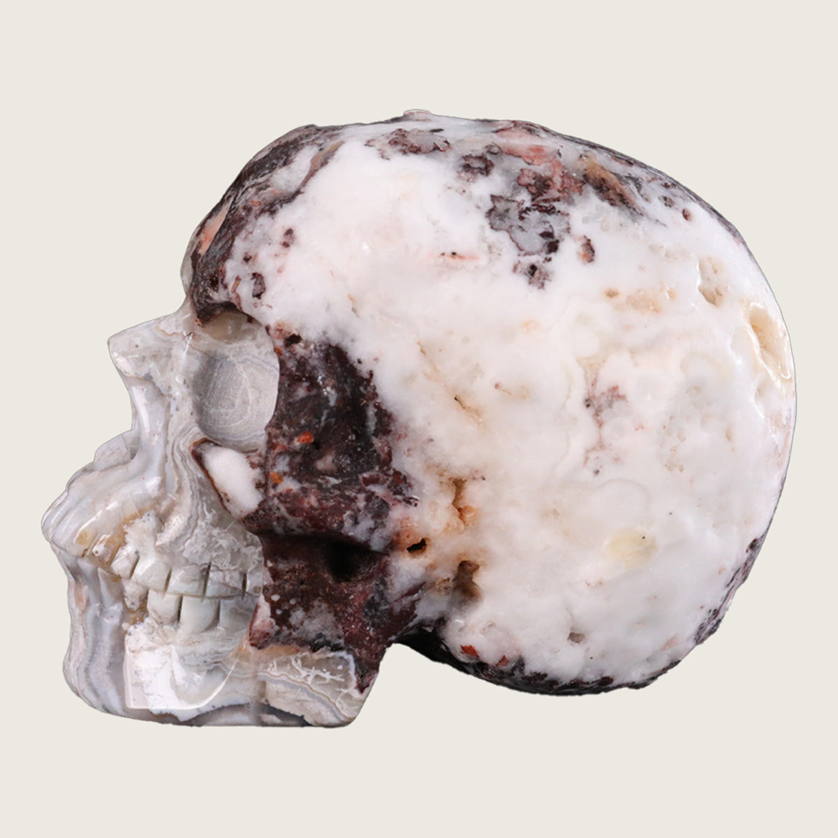 4.5" Red Crazy Lace Agate Human Skull Carving  #SKH45005