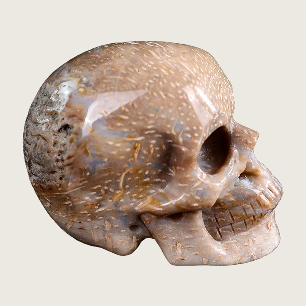 2.2" Coral Fossil Jade Human Skull Carving  #SKH22011