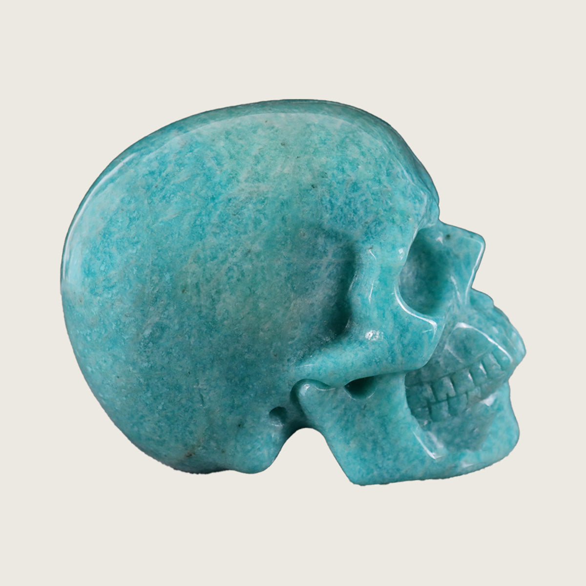 3.0" Amazonite Human Skull Carving  #SKH30024