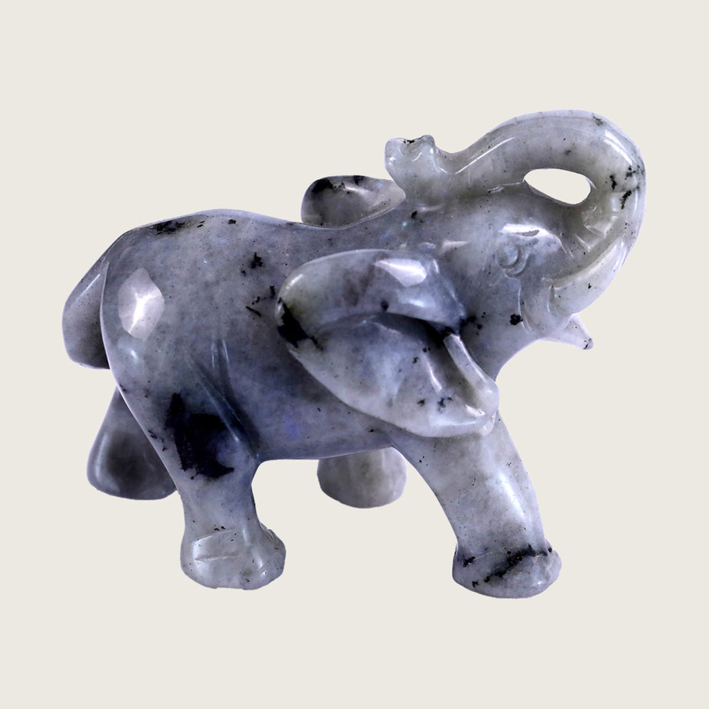 4.1" White Labradorite Elephant Carving  #CHA0017